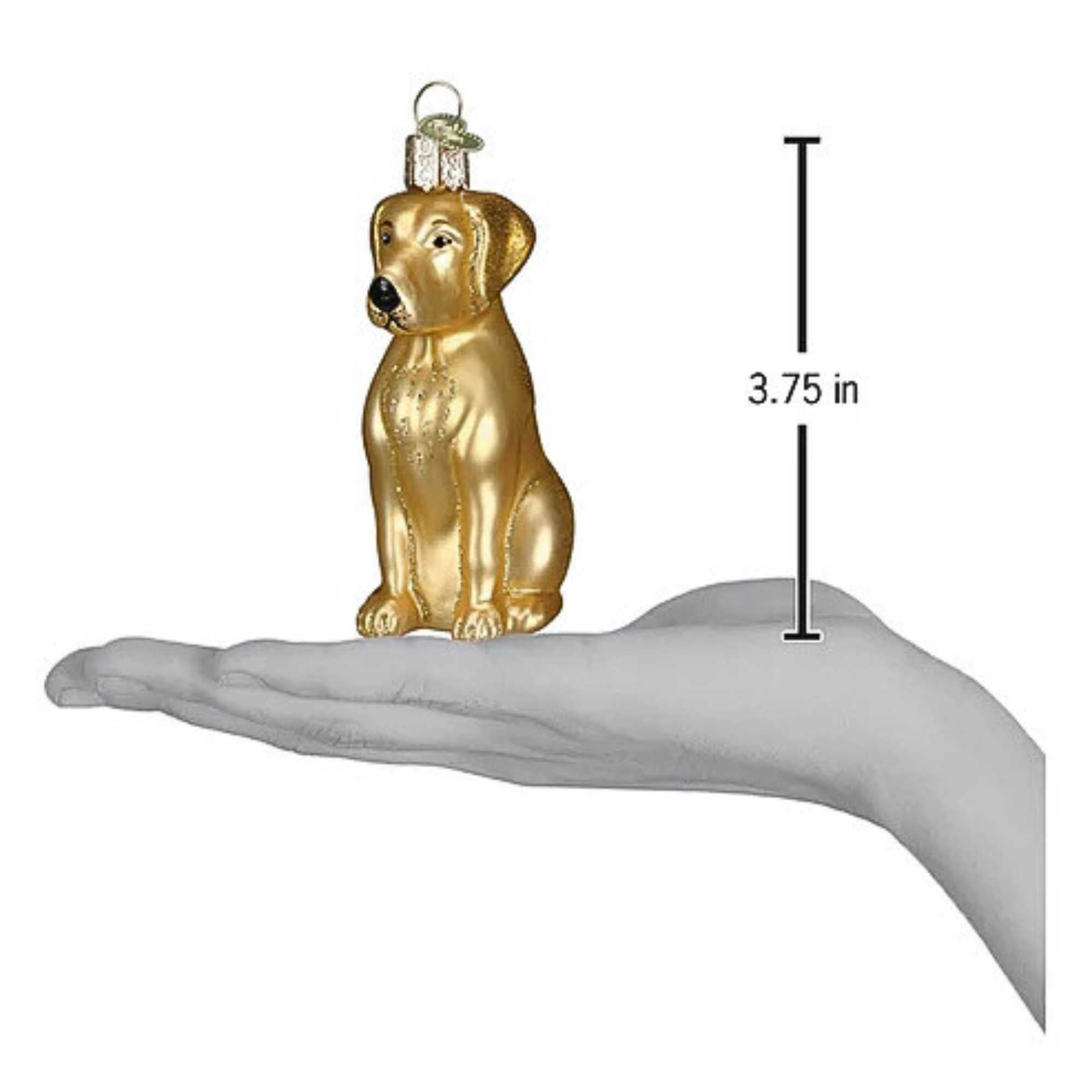 11162 Labrador Retriever Yellow 12386