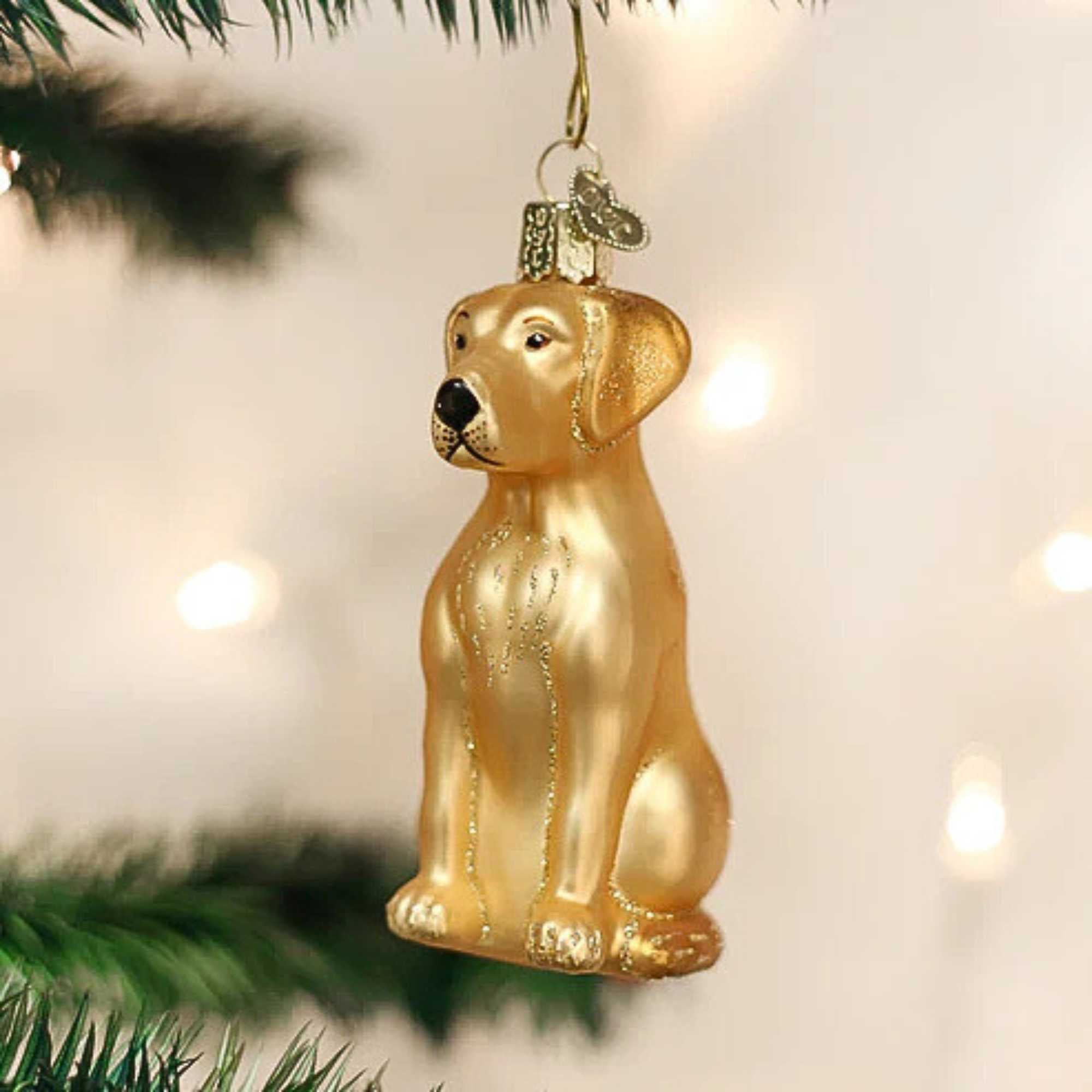 11162 Labrador Retriever Yellow 12386