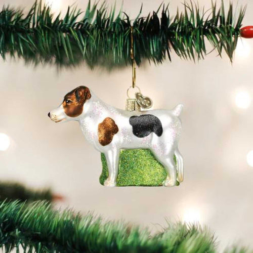 15093 Jack Russell Terrier 12218