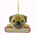 20913 Pug 21831