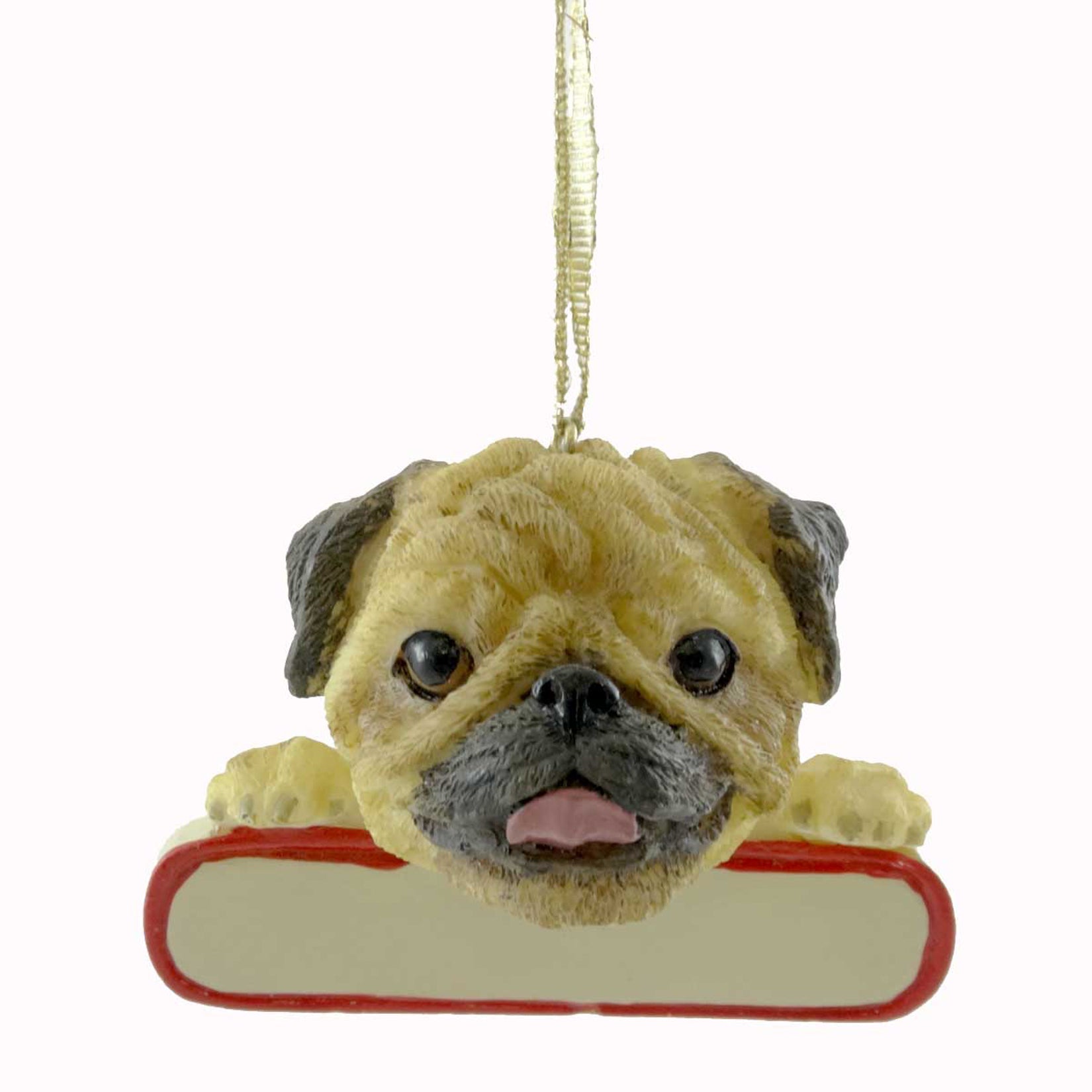 20913 Pug 21831