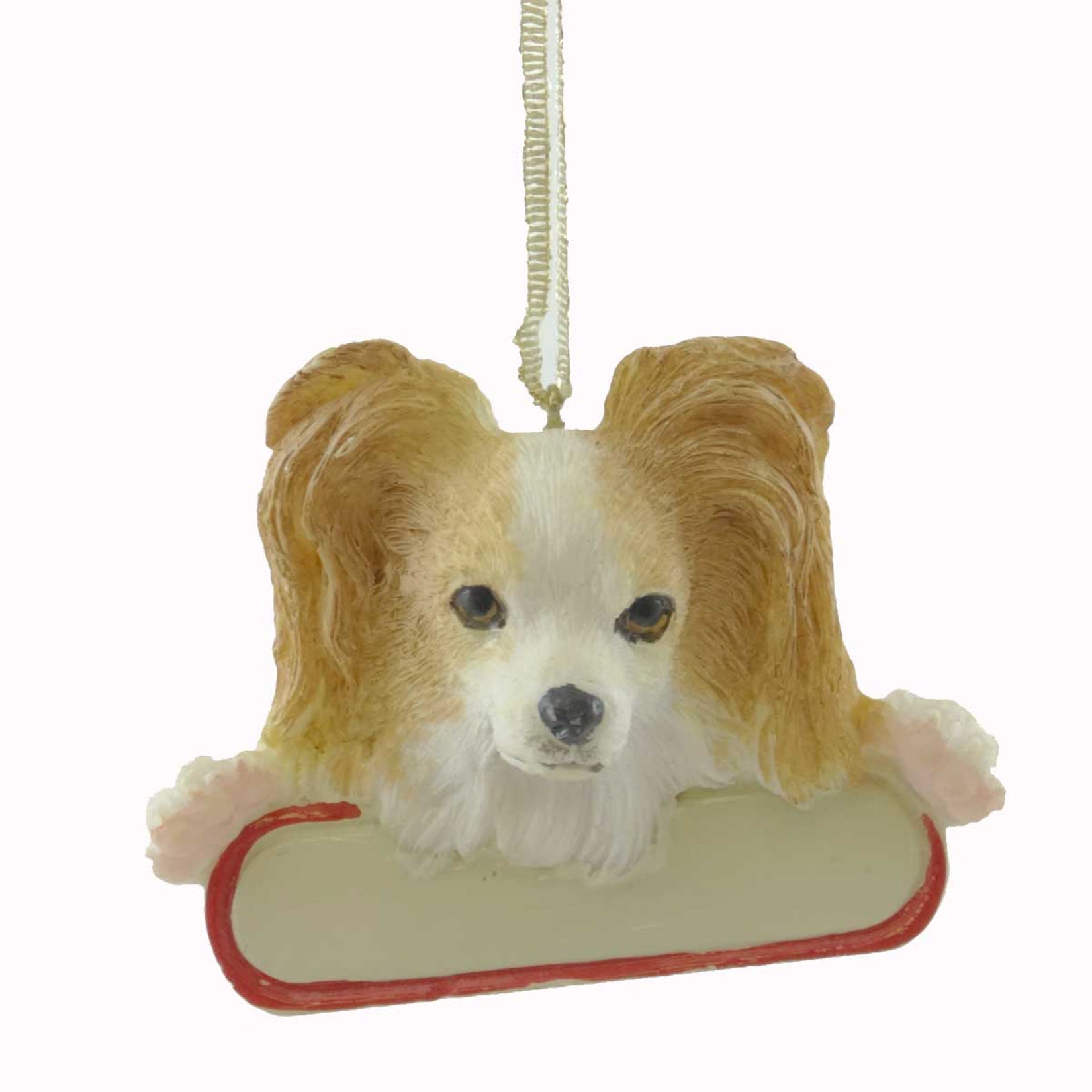 20951 Papillon 21860A