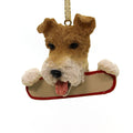24101 Wire Fox Terrier 21856