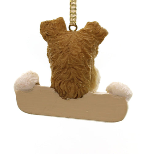 24101 Wire Fox Terrier 21856