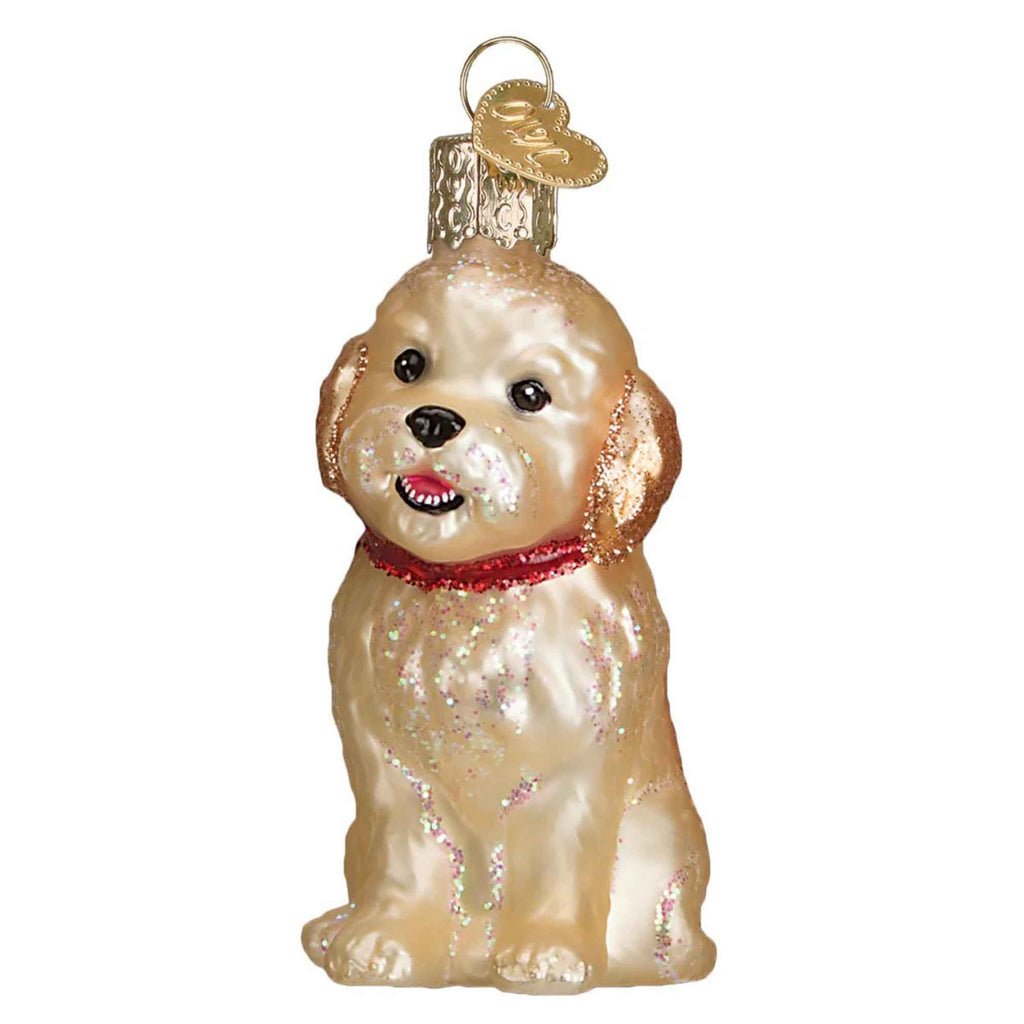 25705 Cockapoo Puppy 12440