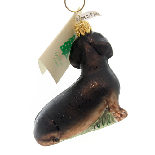 28786 Dachshund HA146602