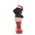Parent-D3696 Dog In Santa Boot