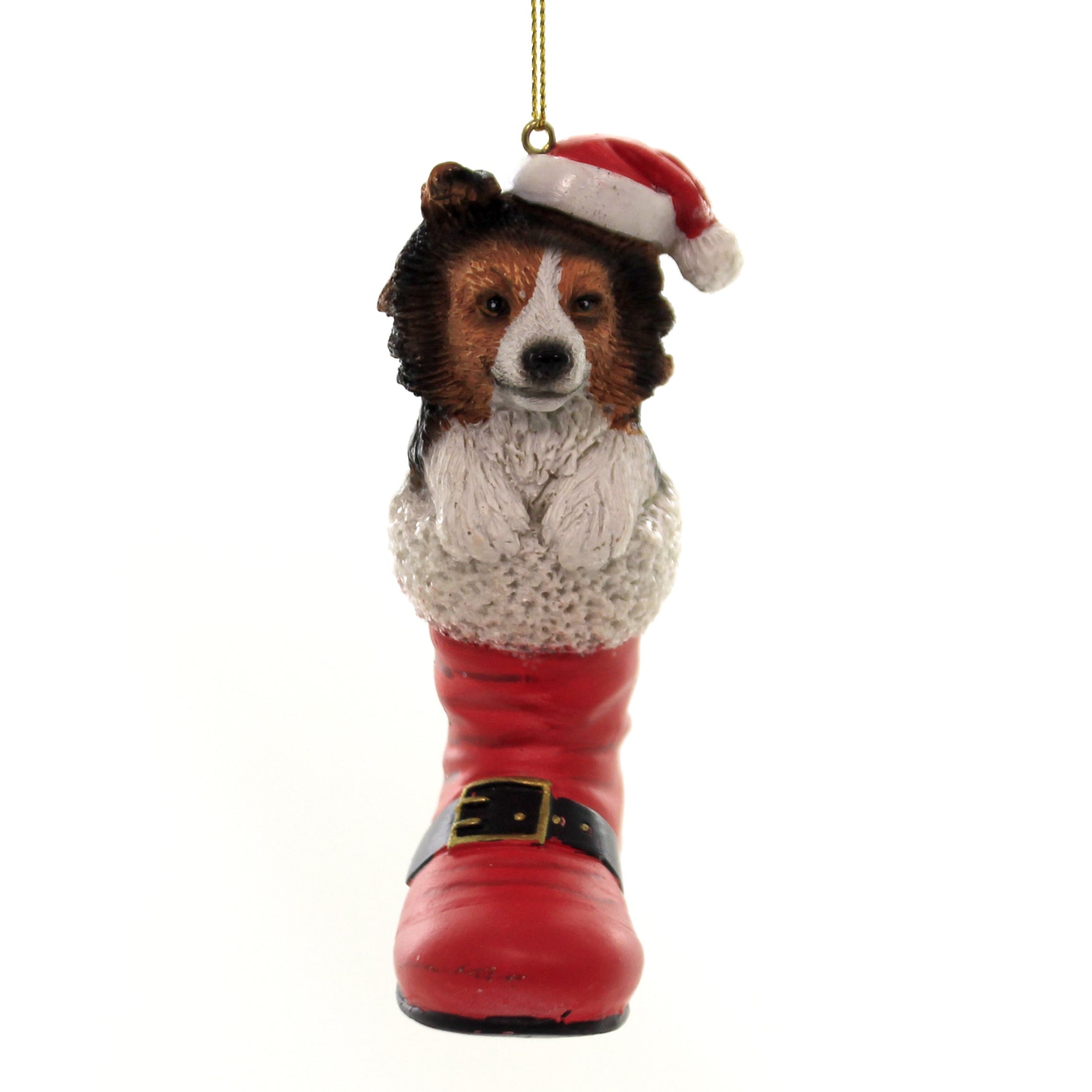 Parent-D3696 Dog In Santa Boot