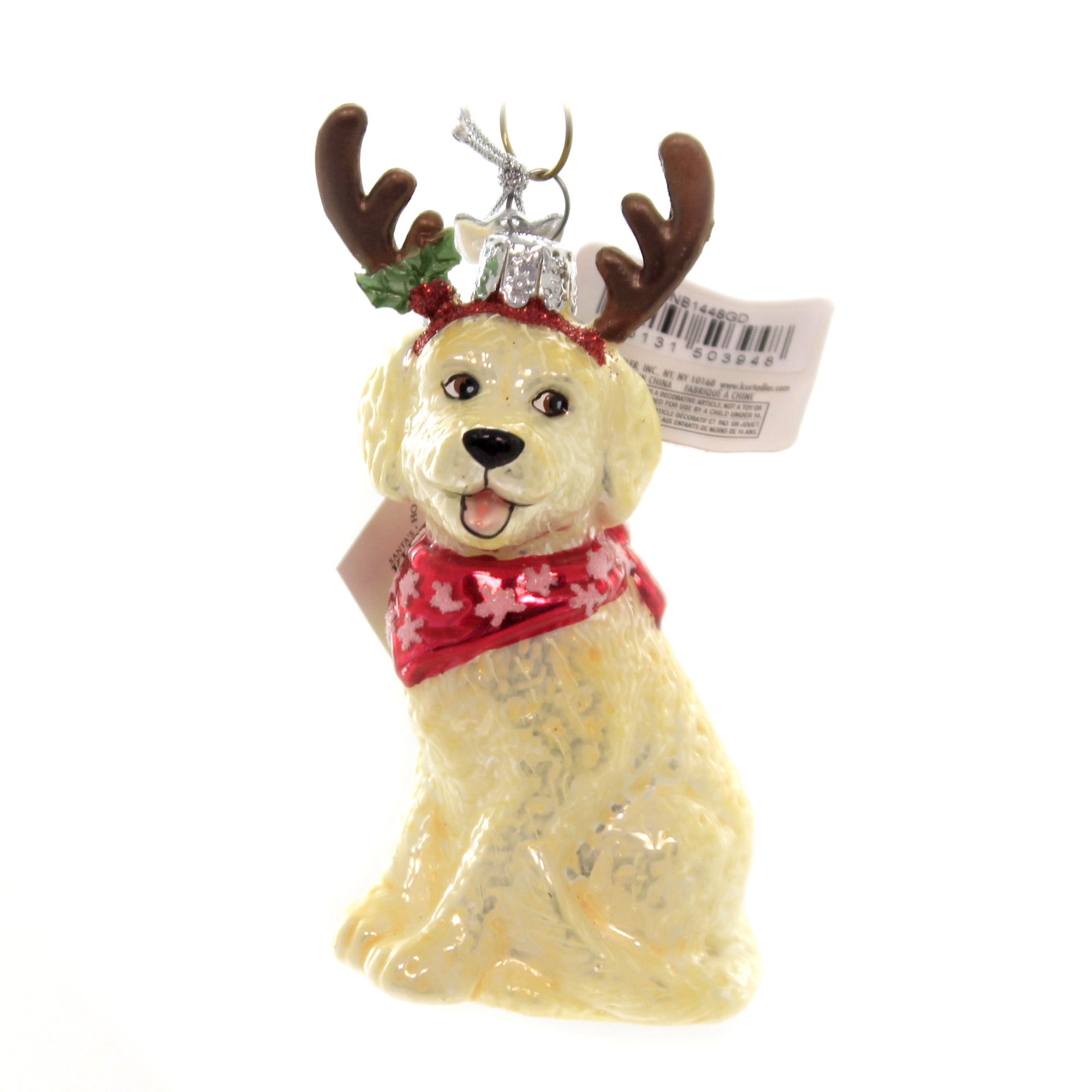 Parent-Nb1448 Dog With Antlers.