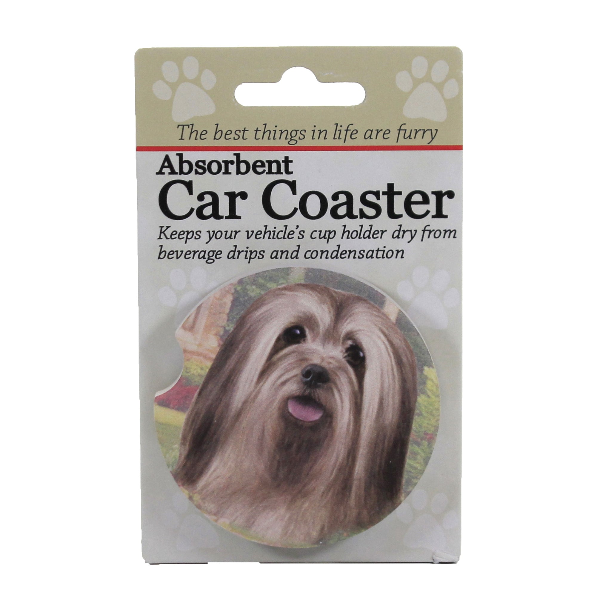 49553 Lhasa Apso 23123
