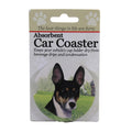 49602 Rat Terrier Car Coaster 23192