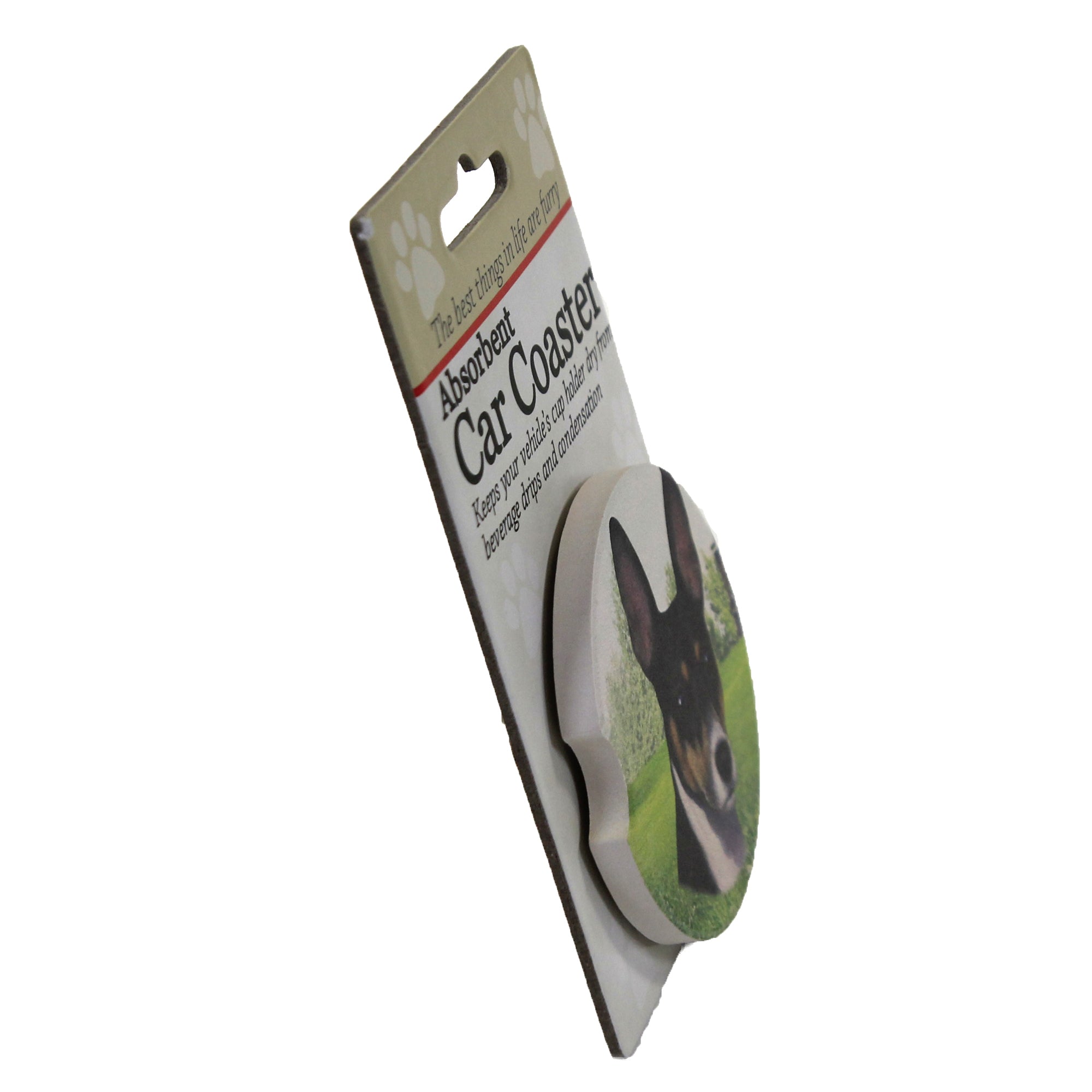 49602 Rat Terrier Car Coaster 23192