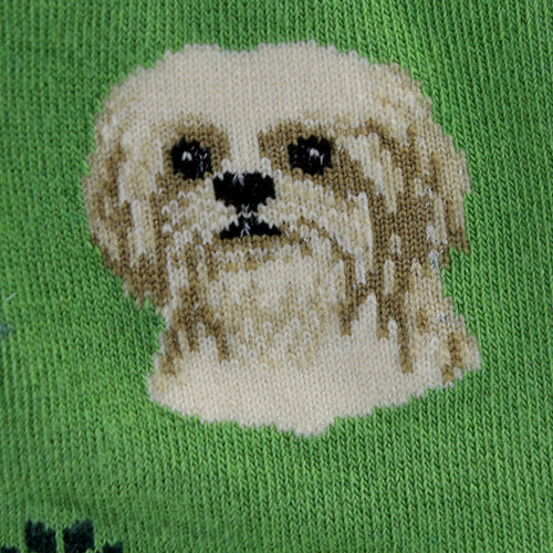 49652 Tan Shih Tzu Socks 80087
