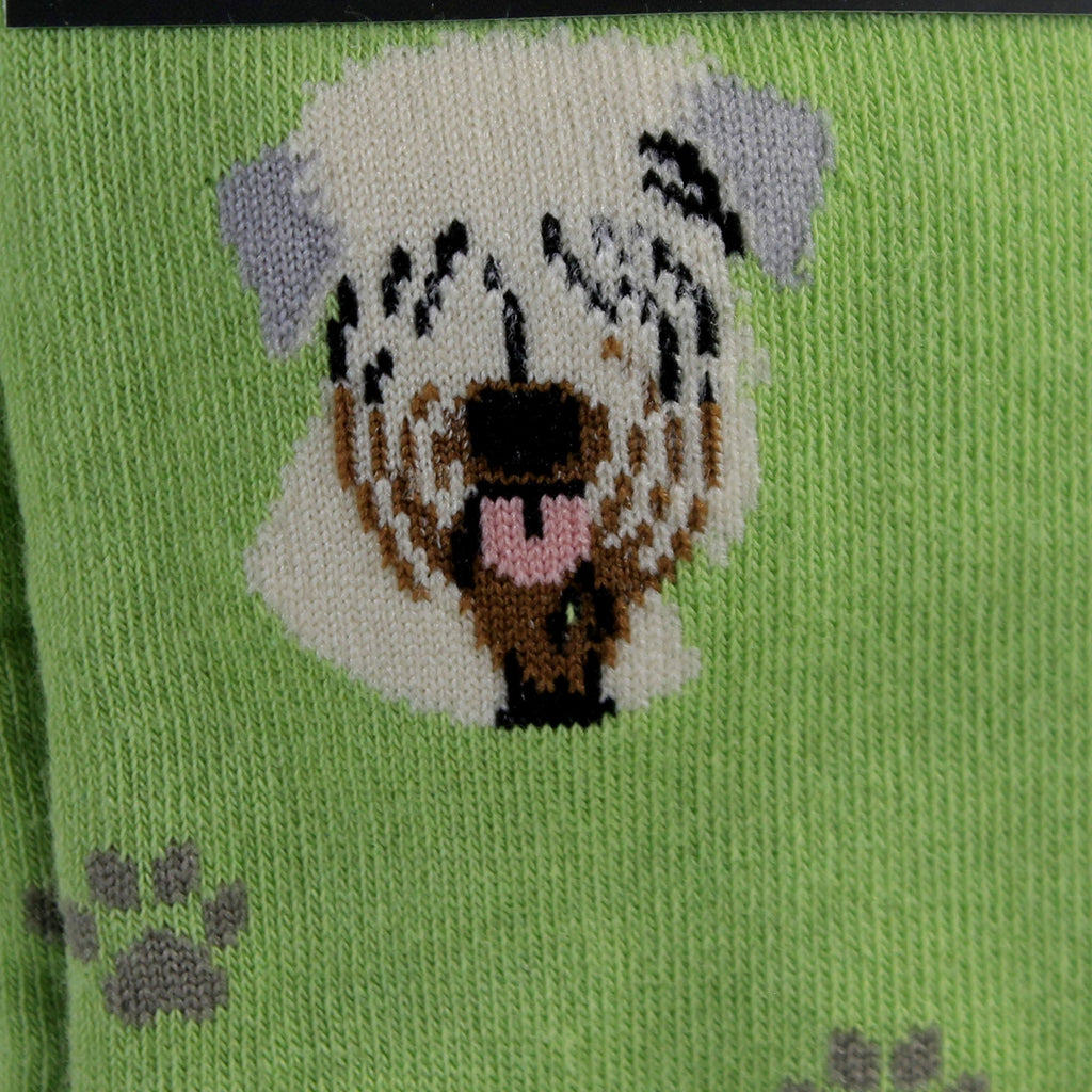49653 Soft Coated Wheaton Terrier Soc 80041