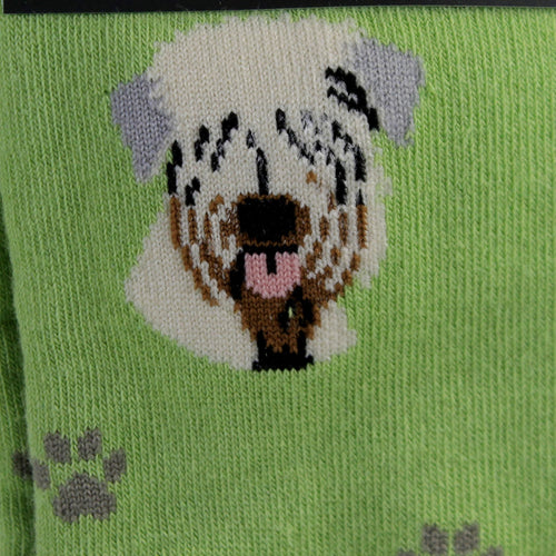 49653 Soft Coated Wheaton Terrier Soc 80041