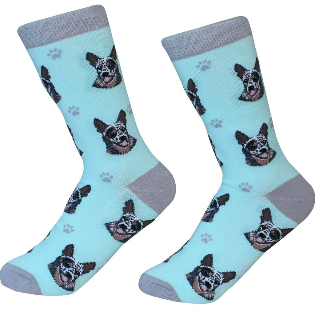 49673 Australian Cattle Dog 80090