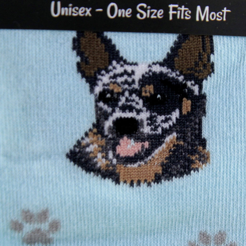 49673 Australian Cattle Dog 80090