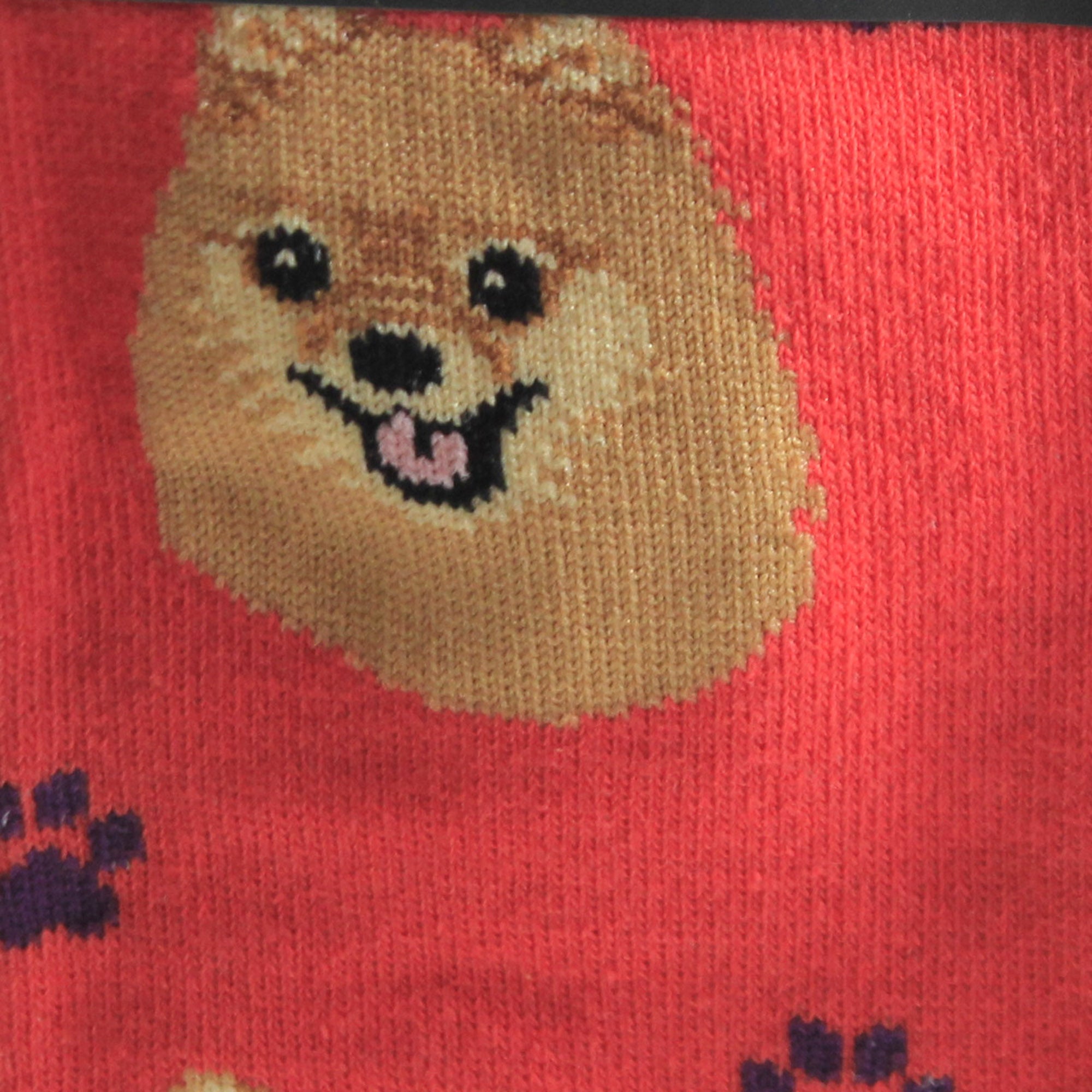 49685 Pomeranian Socks 80027.