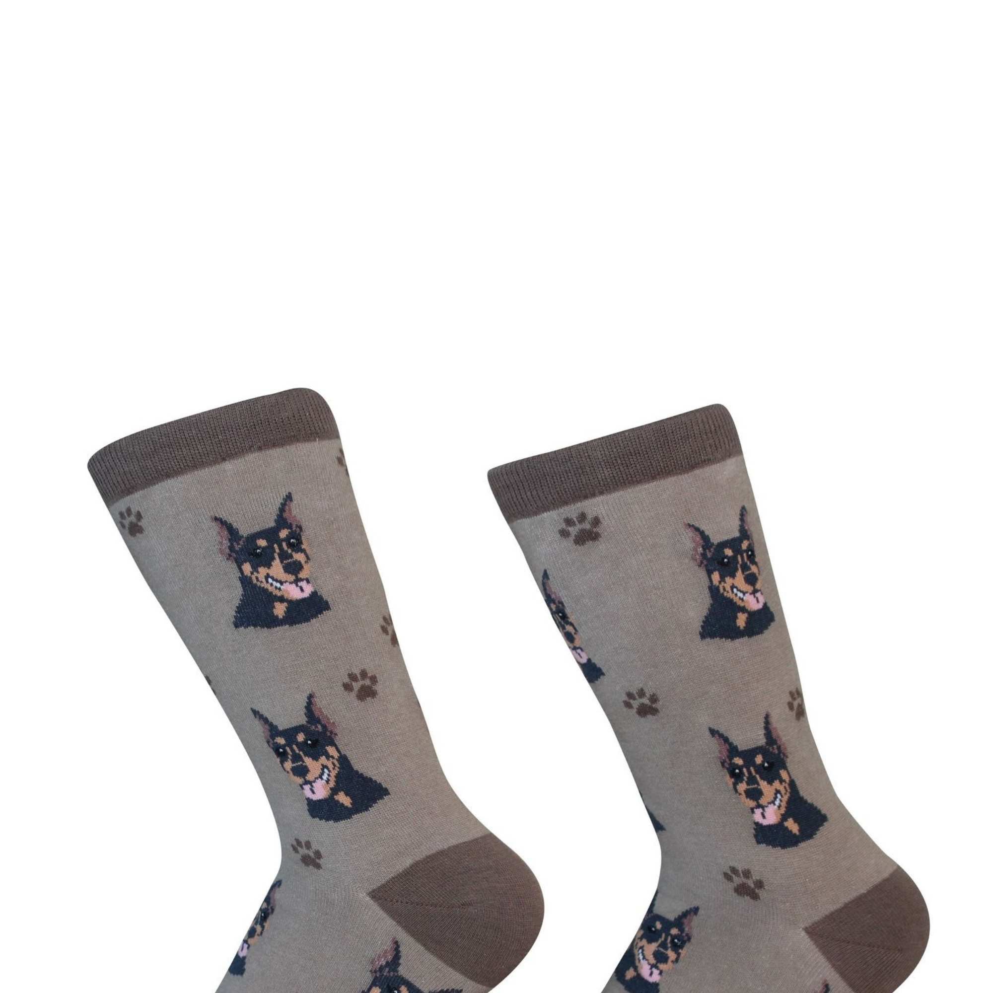 49698 Doberman Sock Daddy Socks 800101