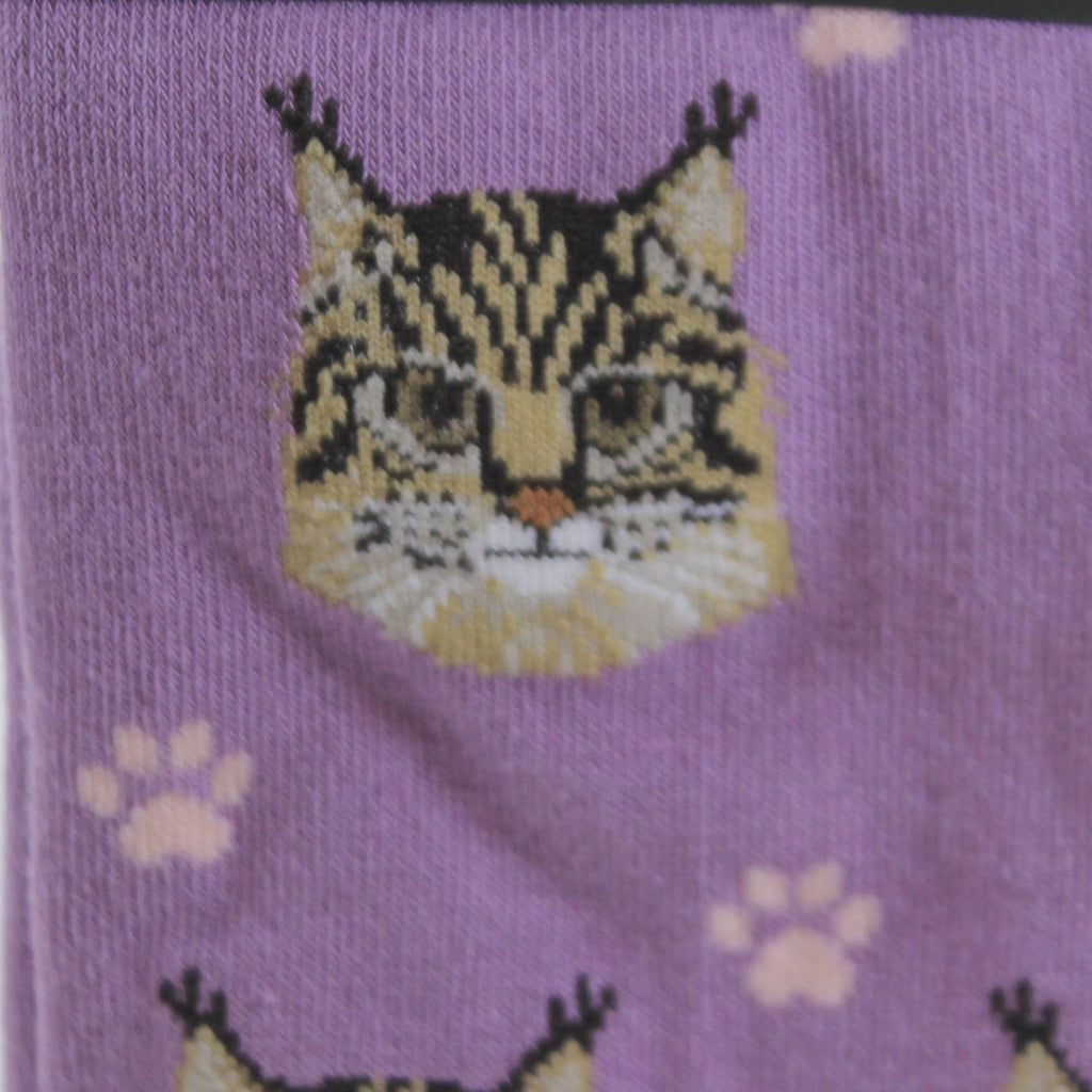49704 Maine Coon Cat Sock Daddy Socks 8016