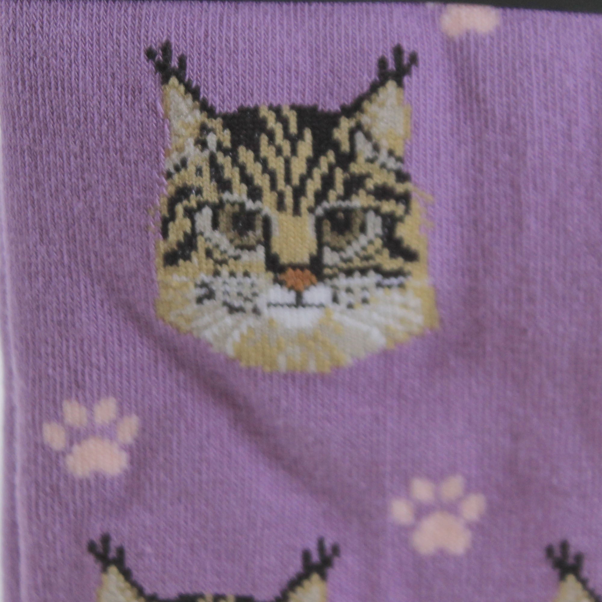 49704 Maine Coon Cat Sock Daddy Socks 8016