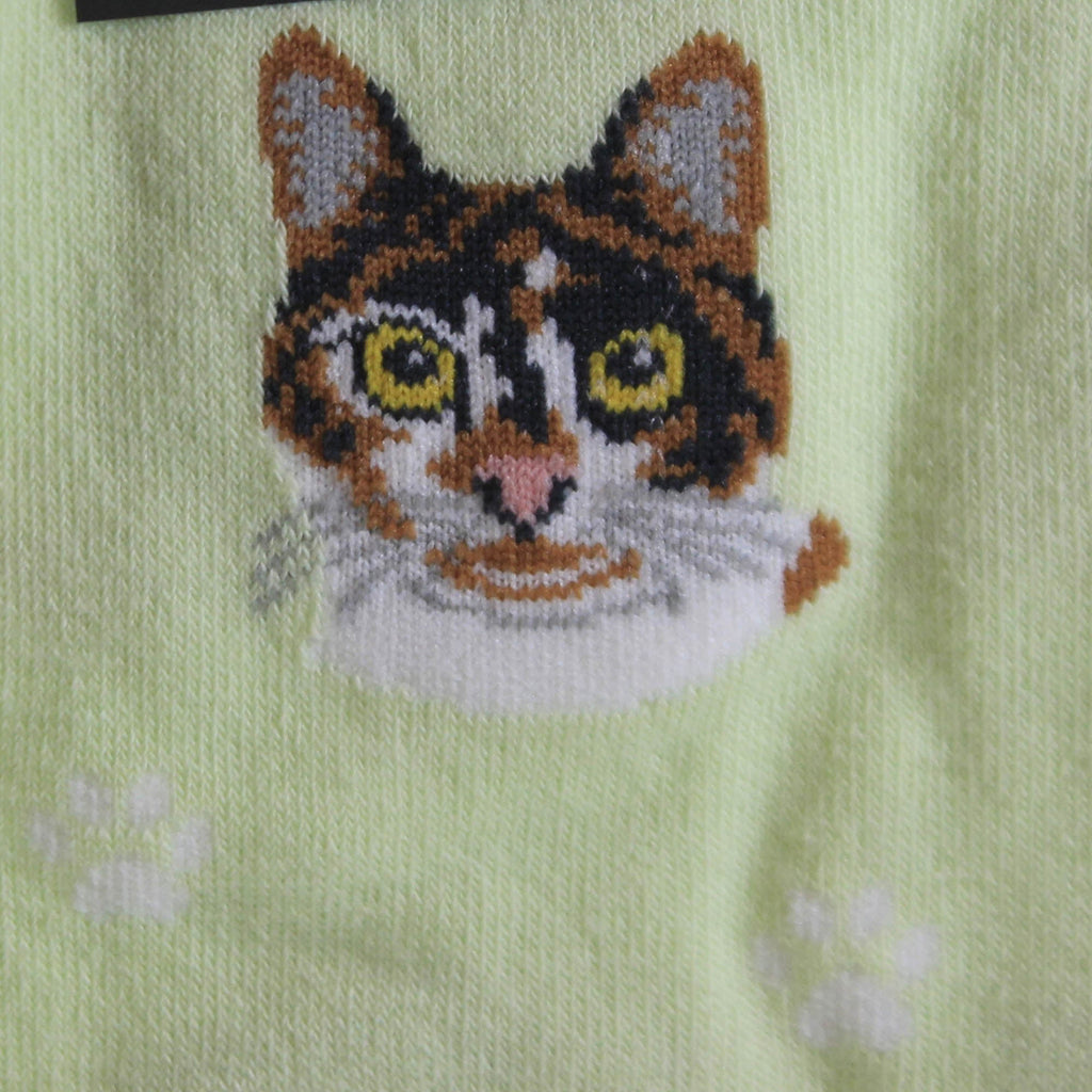 49708 Calico Cat Sock Daddy Socks 8012