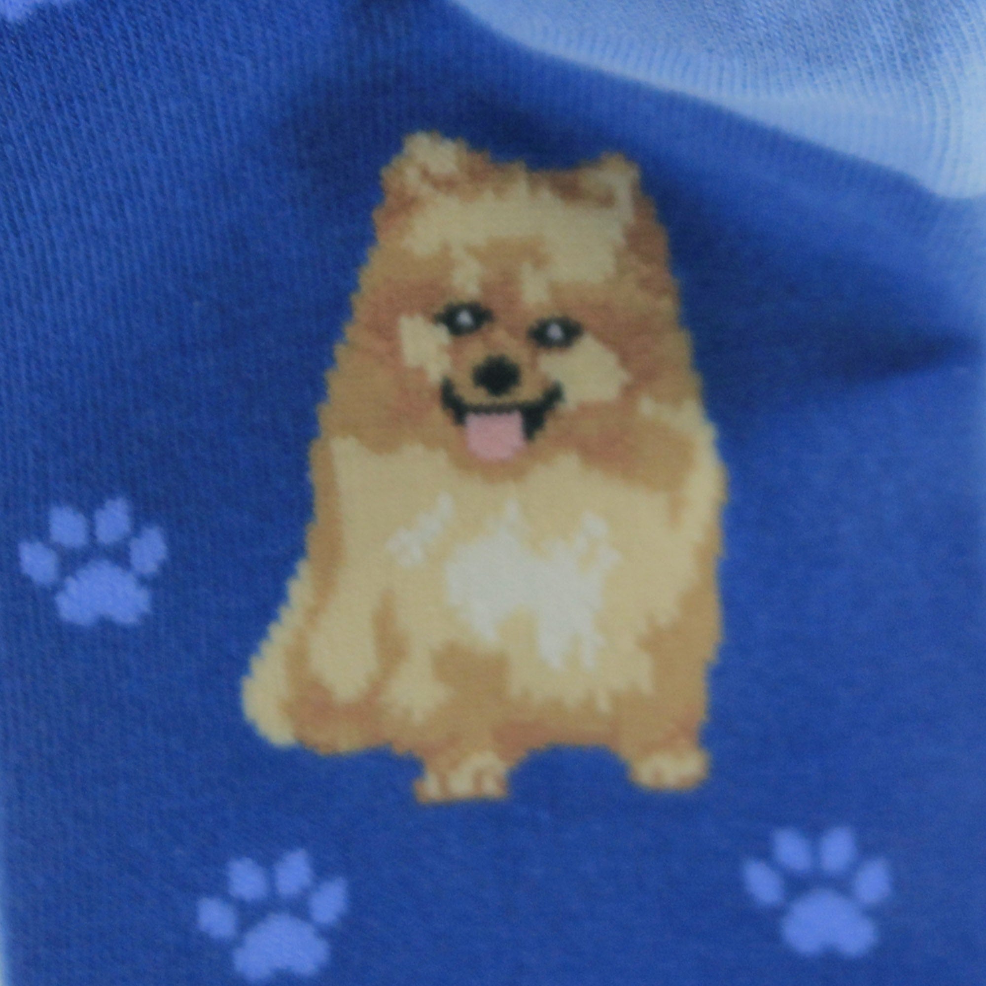 49724 Pomeranian Happy Tails Socks 800FB27