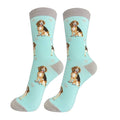 49727 Beagle Happy Tails Socks 800FB3