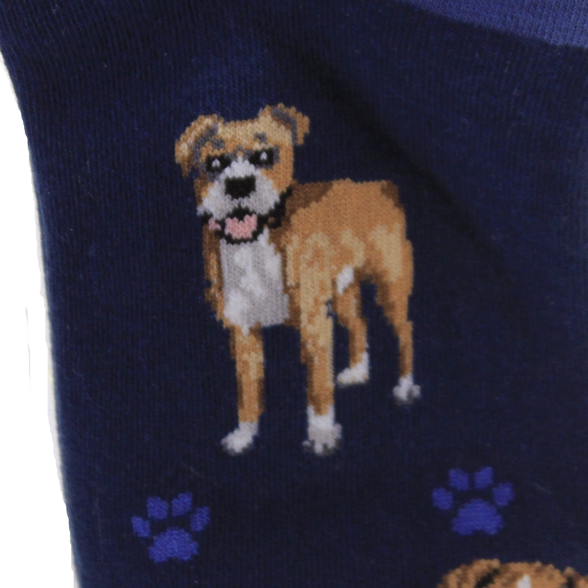49730 Boxer Happy Tail Socks 800FB6