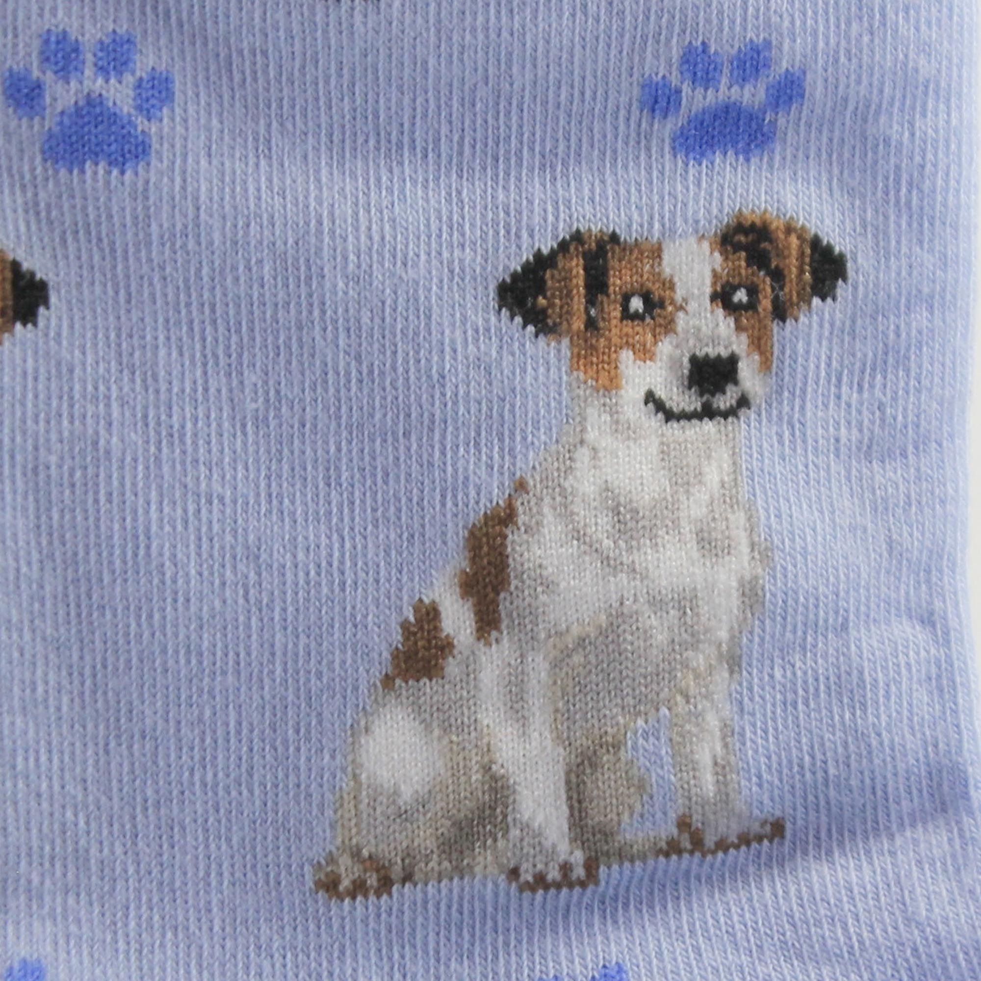 49741 Jack Russell Terrier Socks. 800FB17