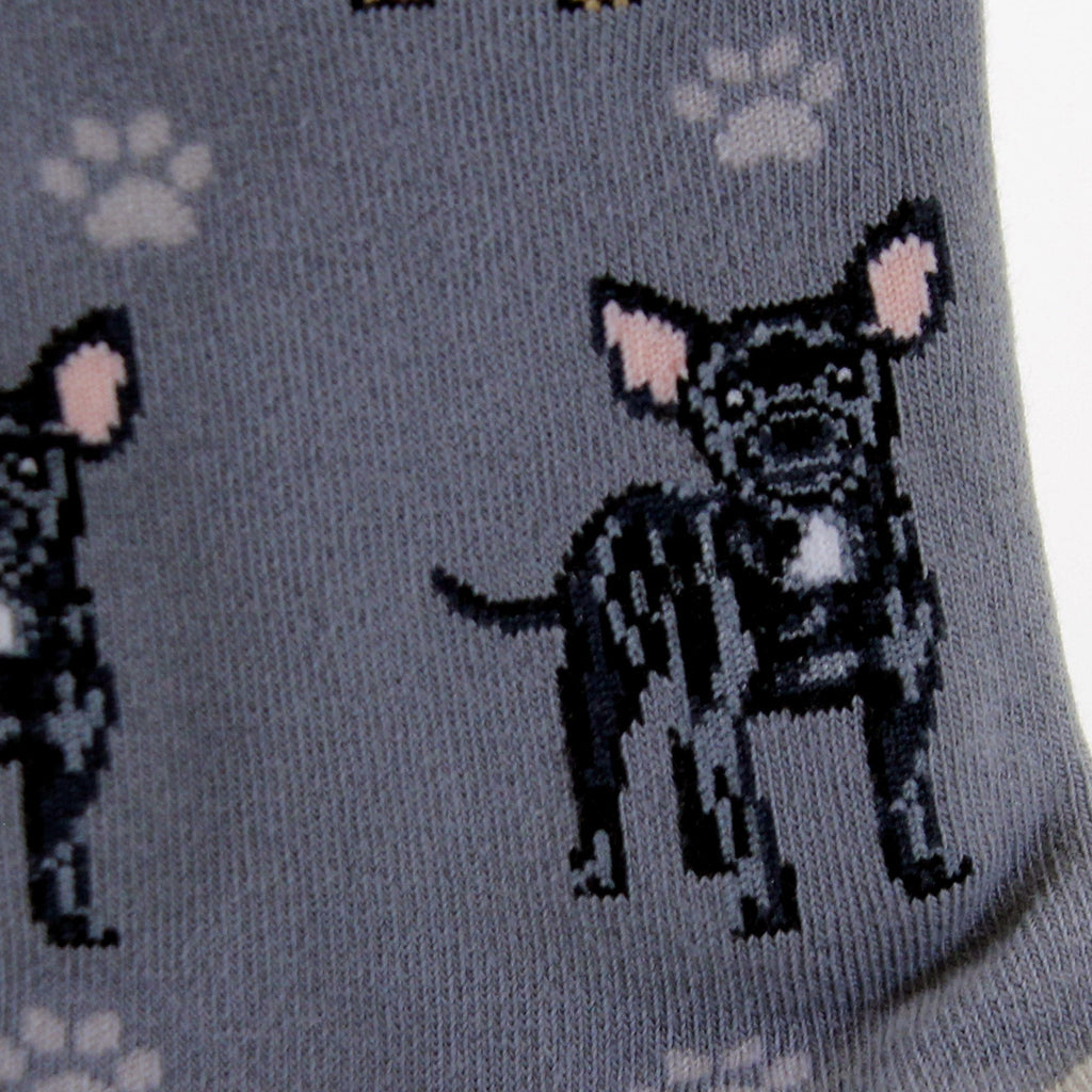 49750 Black Chihuahua Socks 800FB11
