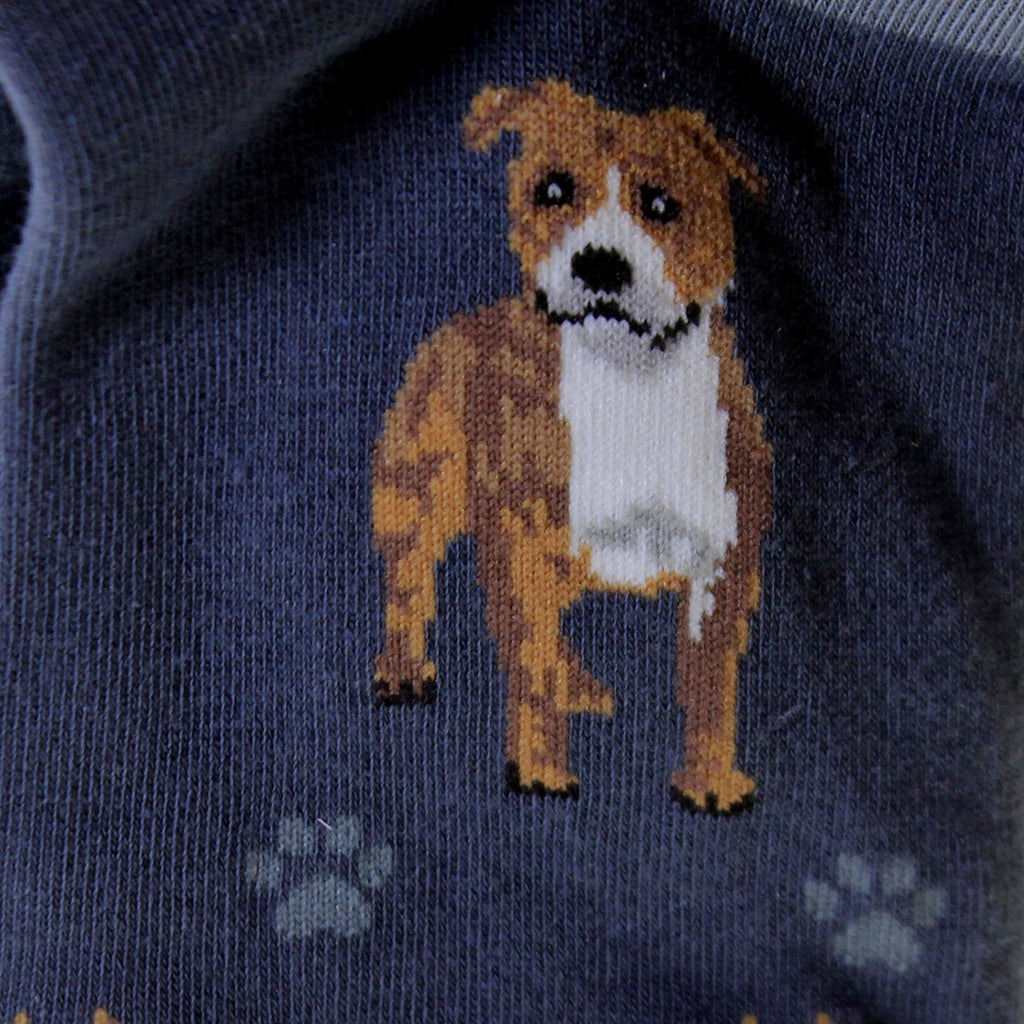 49753 Pit Bull Happy Tails Socks 800FB26