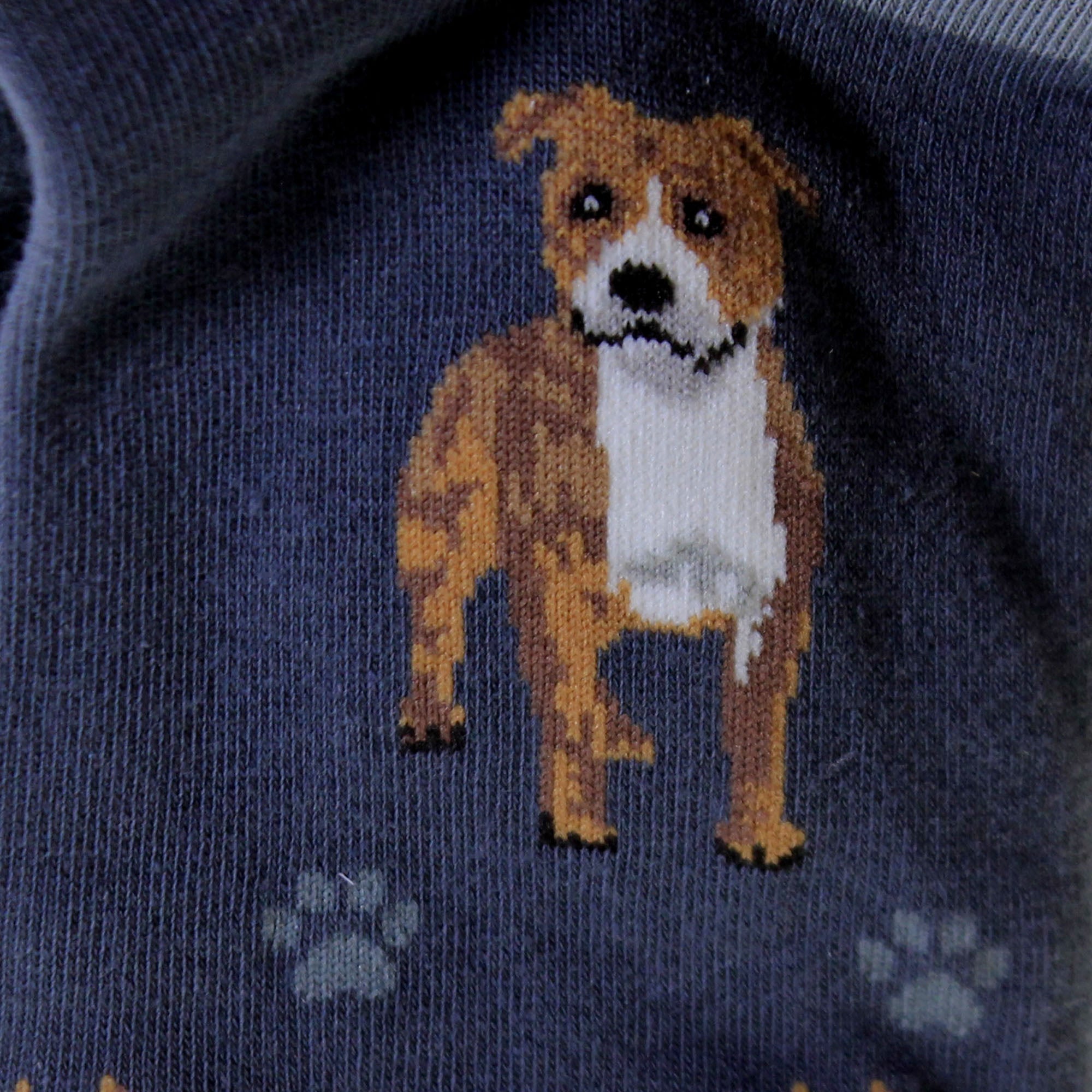 49753 Pit Bull Happy Tails Socks 800FB26