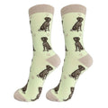 49759 German Shorthaired Pointer. 800FB83