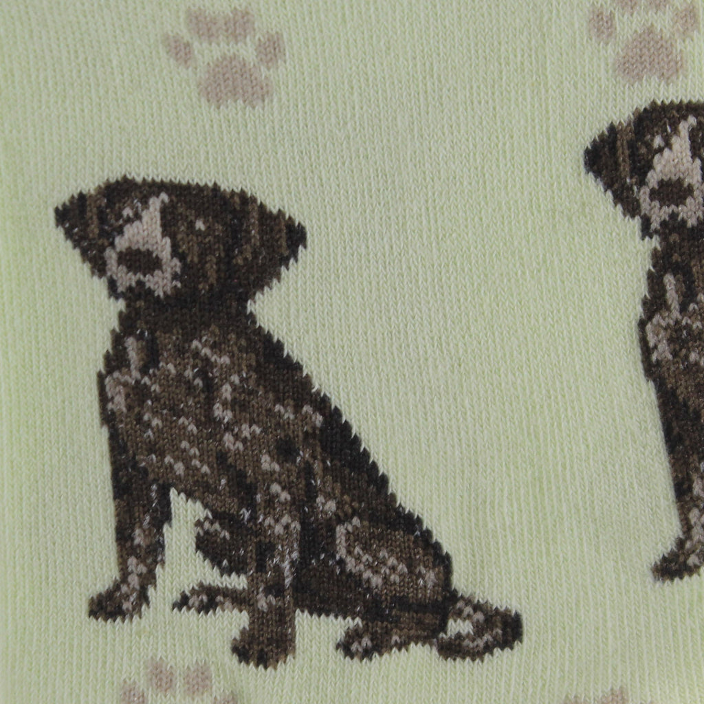 49759 German Shorthaired Pointer. 800FB83
