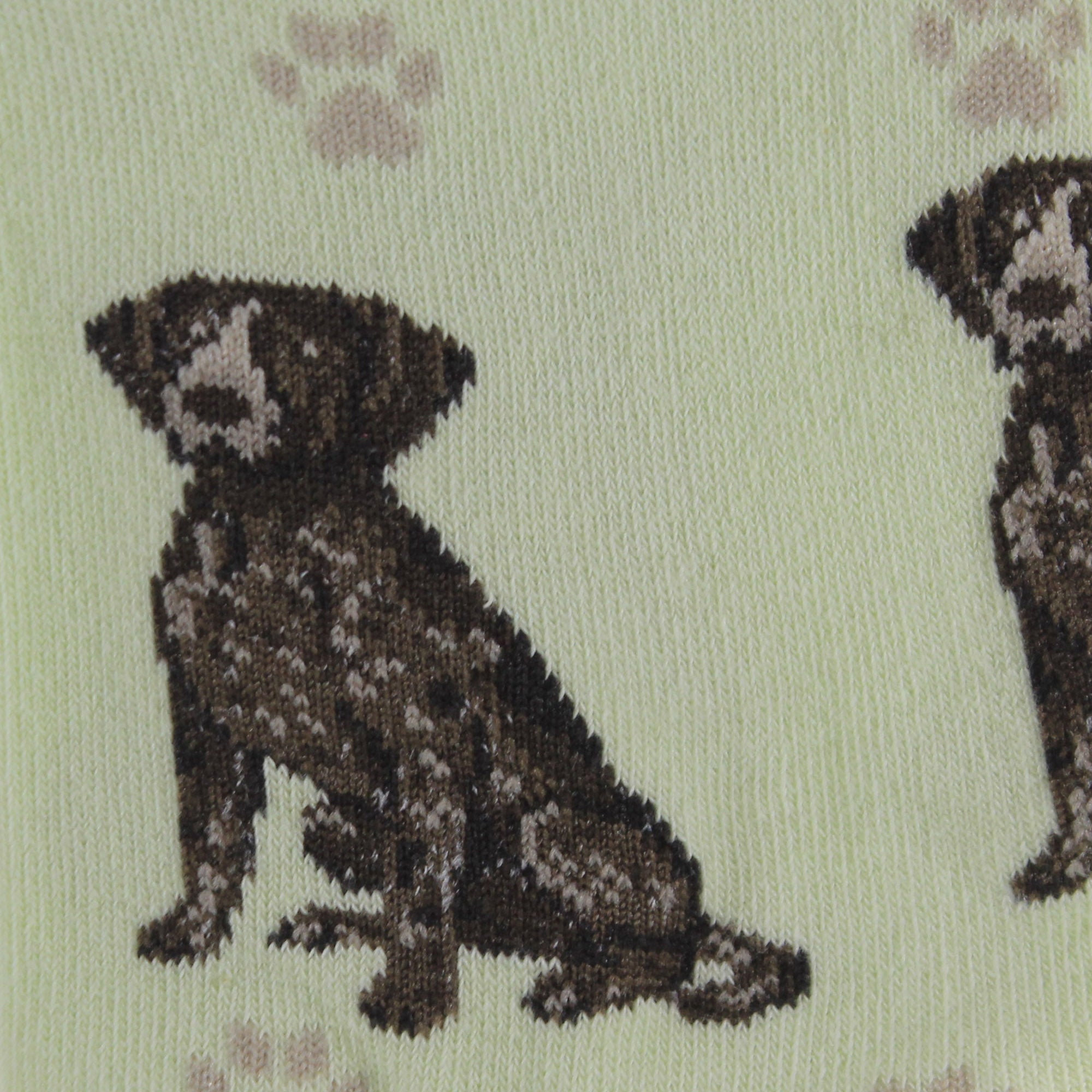 49759 German Shorthaired Pointer. 800FB83