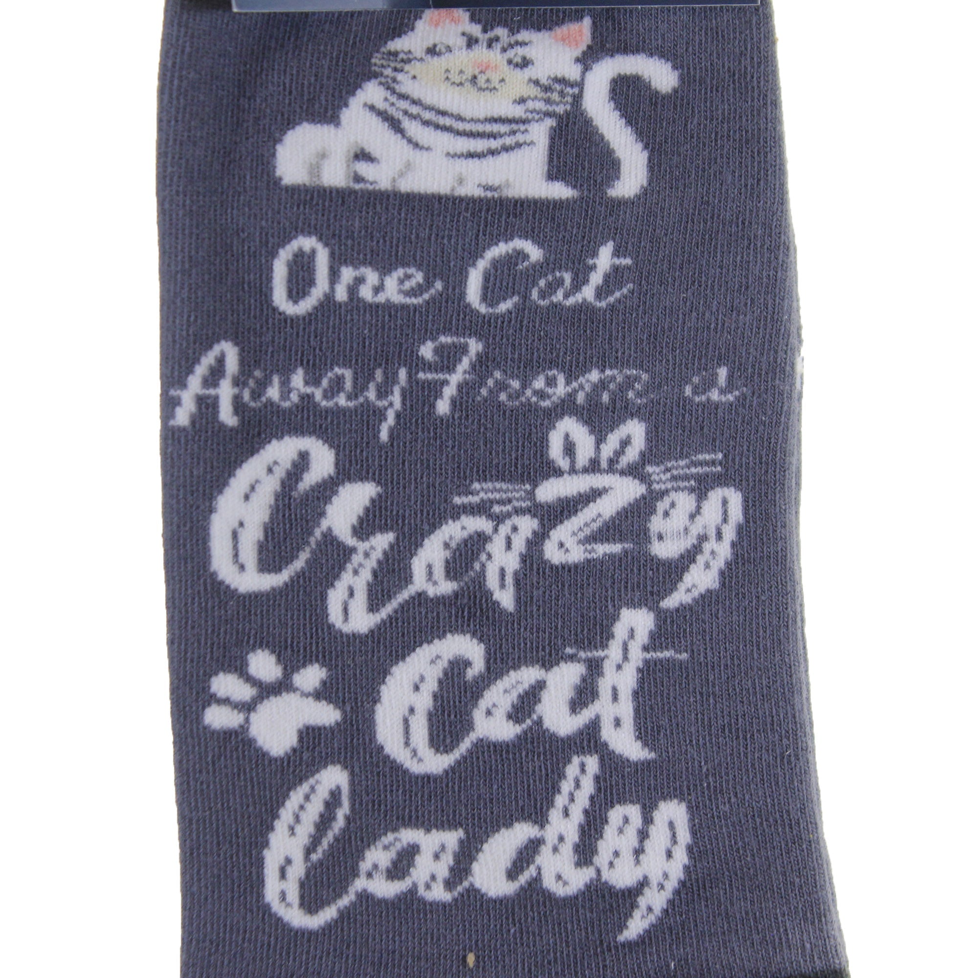 49782 Crazy Cat Lady Happy Tails Sock 801FB229
