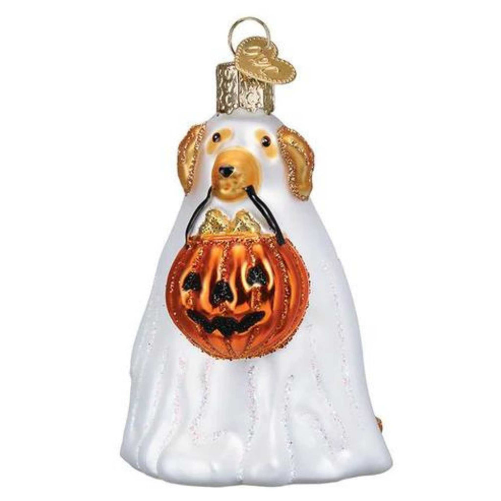 49947 Trick Or Treat Pooch 26088.
