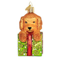 56203 Doodle Puppy Surprise 12650