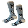 57651 Boston Terrier Socks . 80076BLUE