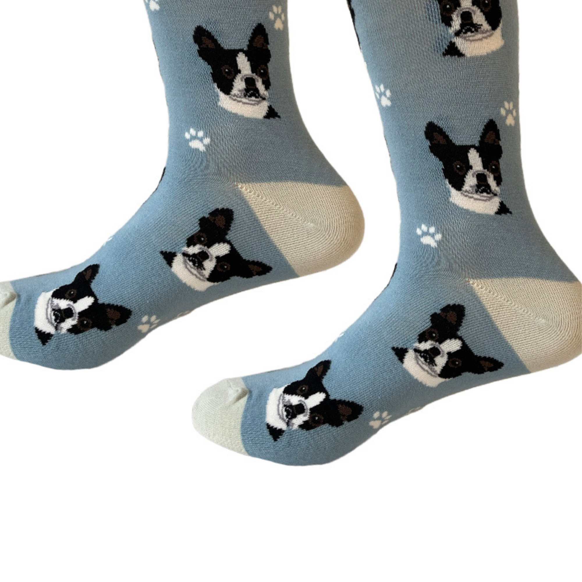 57651 Boston Terrier Socks . 80076BLUE