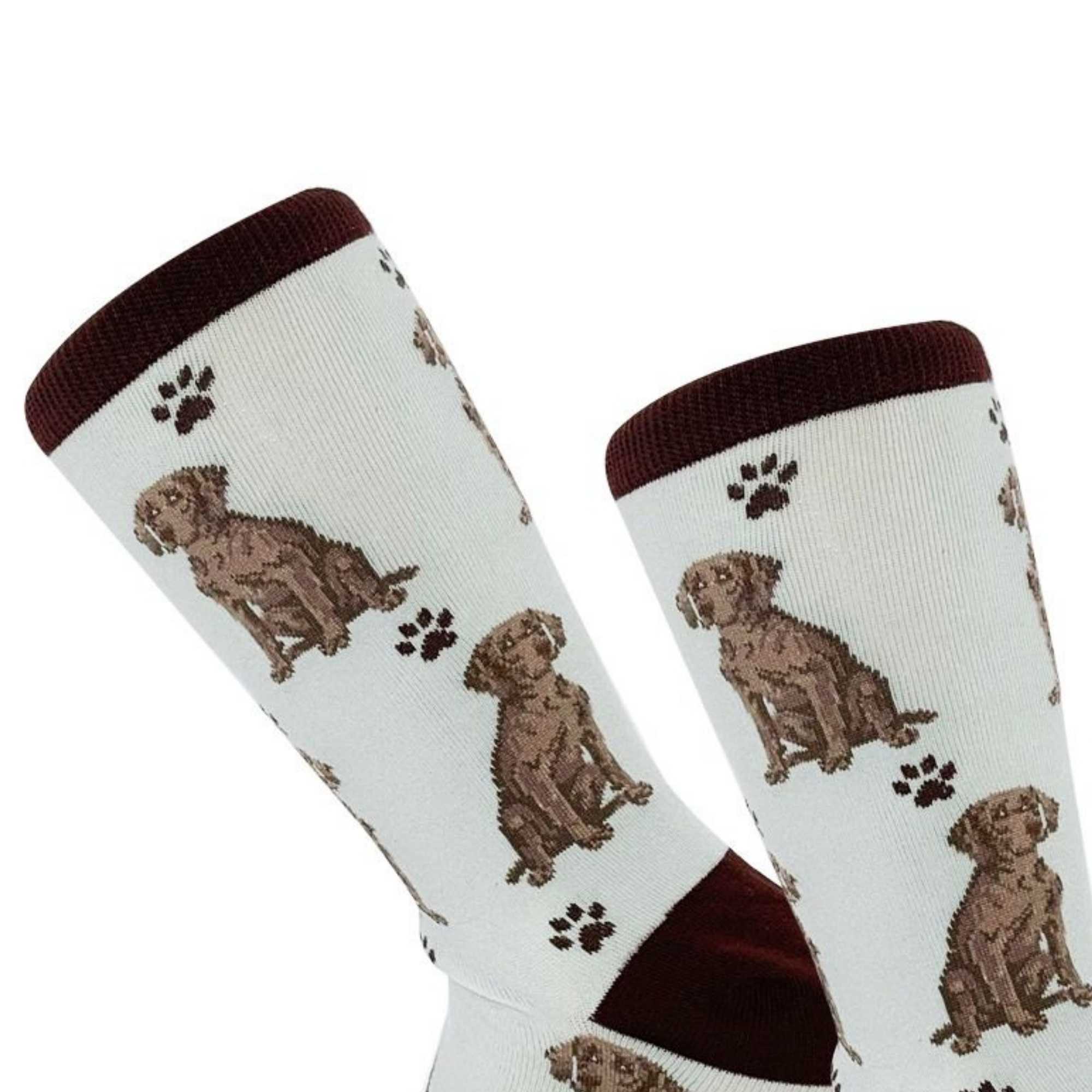 57654 Weimaraner Happy Tails Socks . 800FB54GRAYBLUE