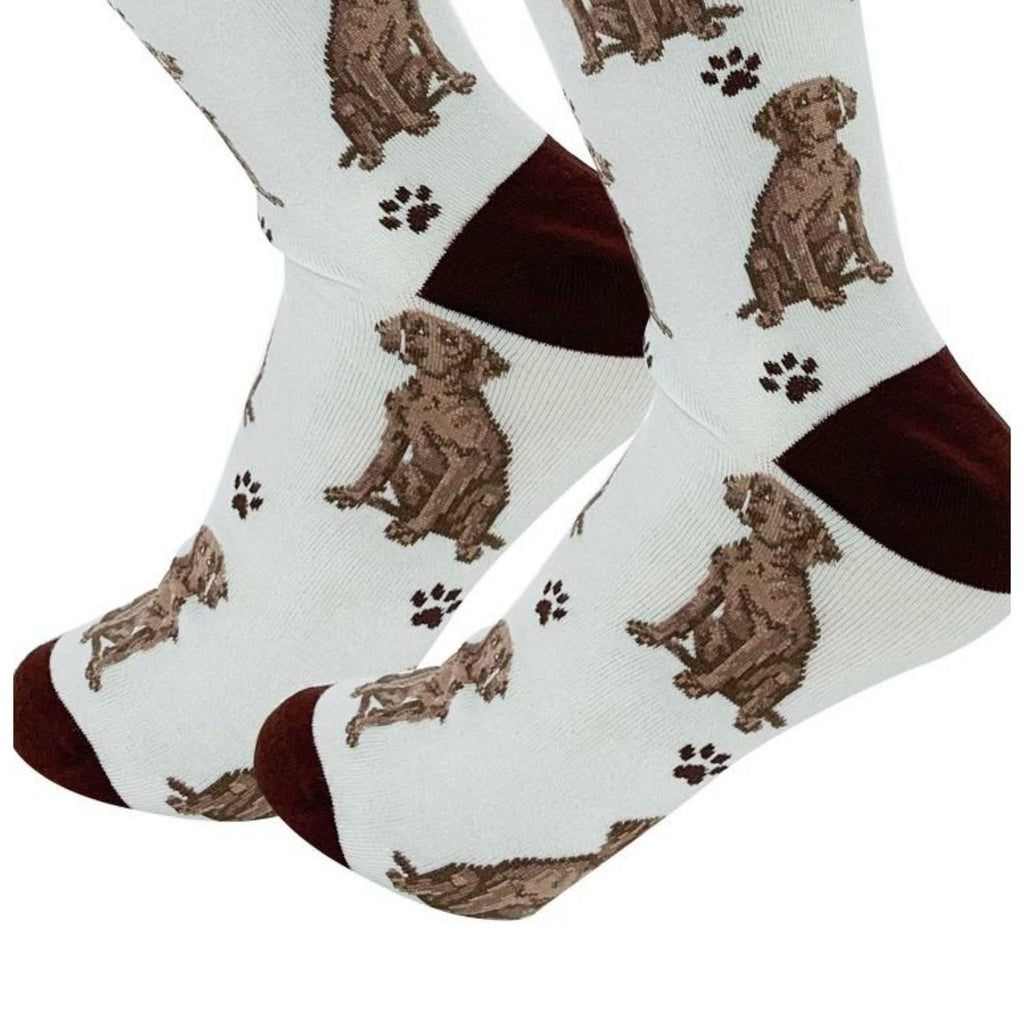 57654 Weimaraner Happy Tails Socks . 800FB54GRAYBLUE