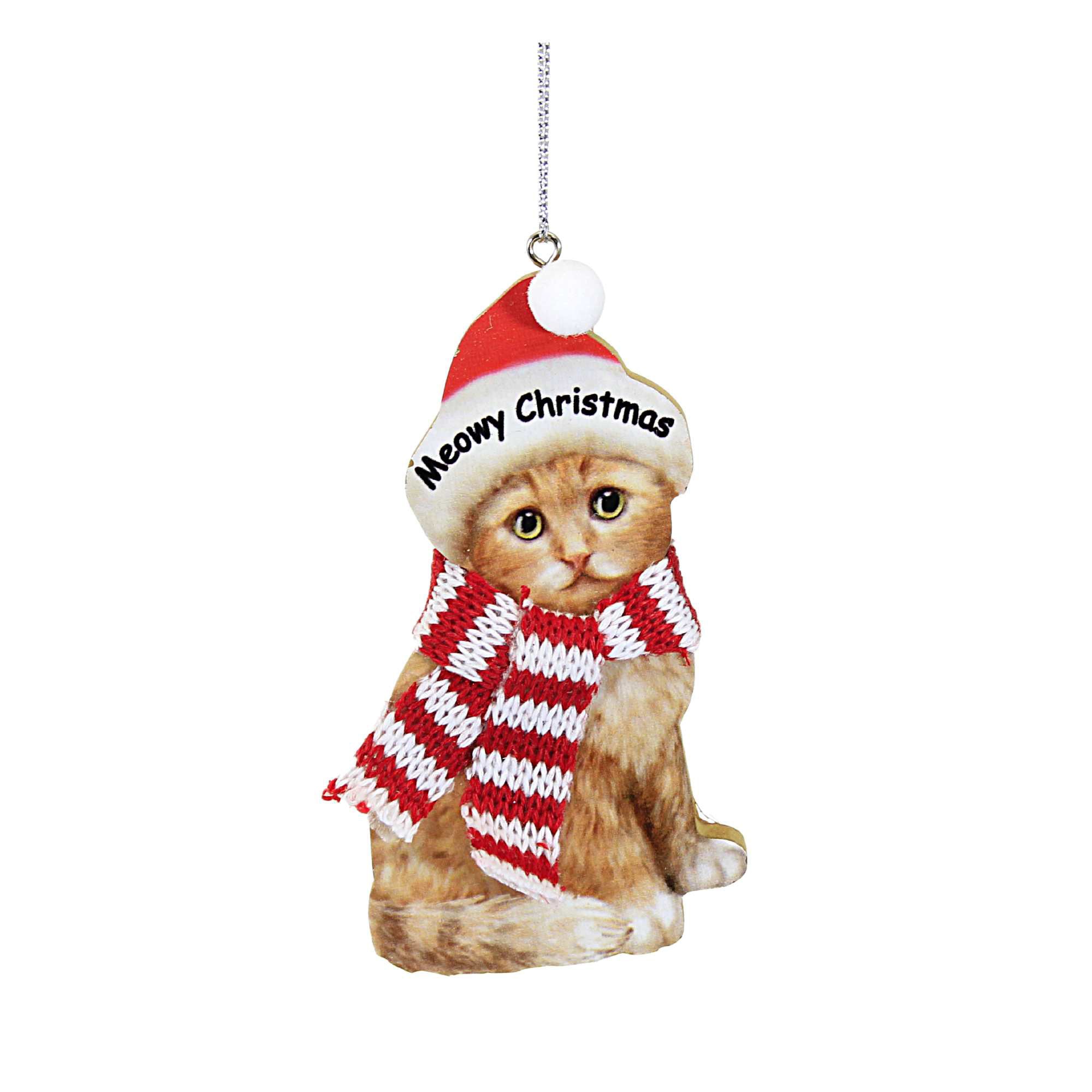 Parent-Ex26300 Kitten With Knitted Scarf