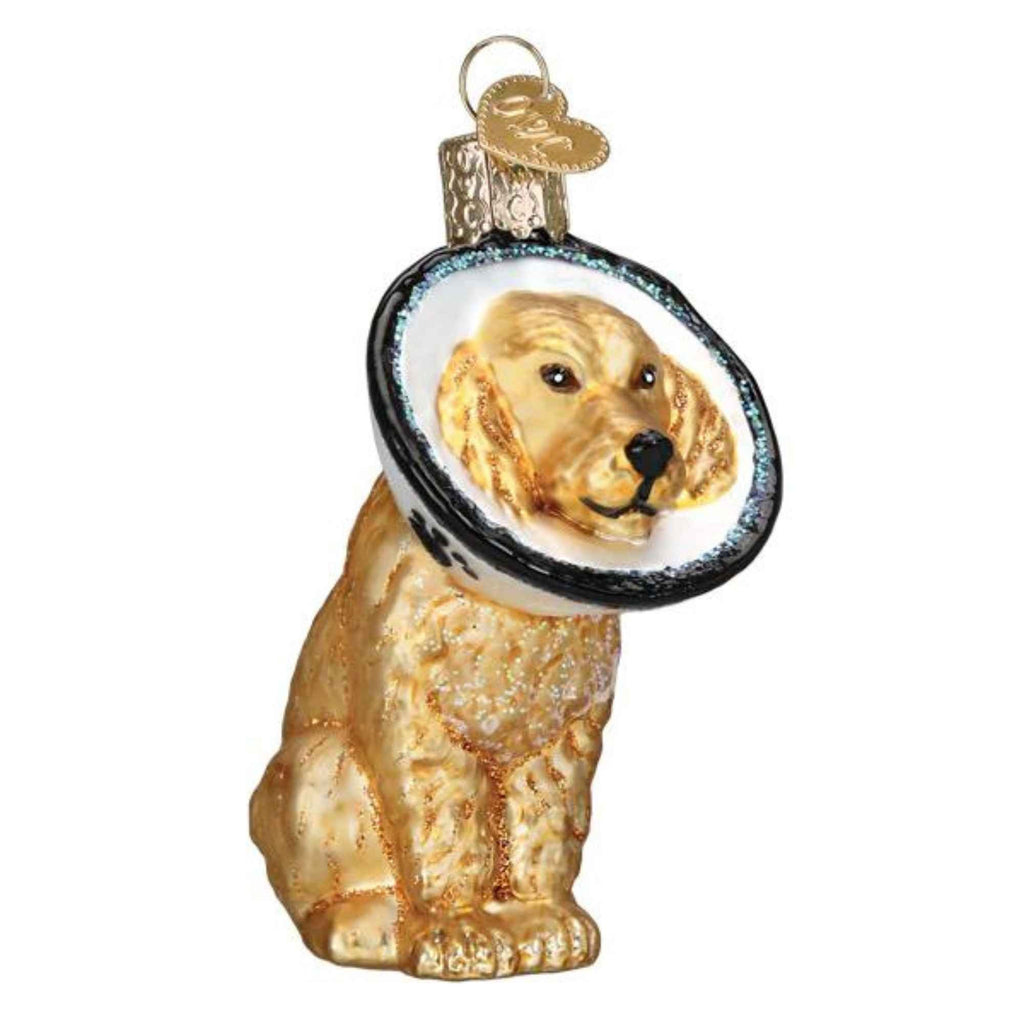 59301 Cone Of Shame Dog 12672