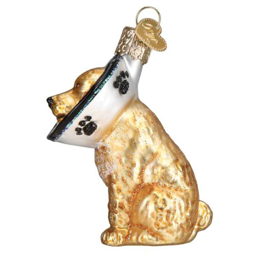 59301 Cone Of Shame Dog 12672