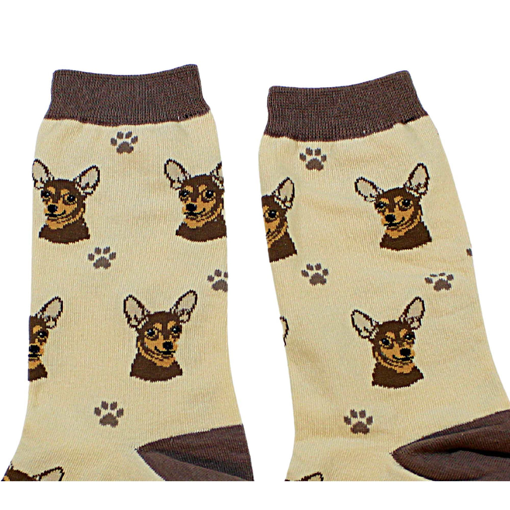 60661 Chihuahua Sock Daddy 80011