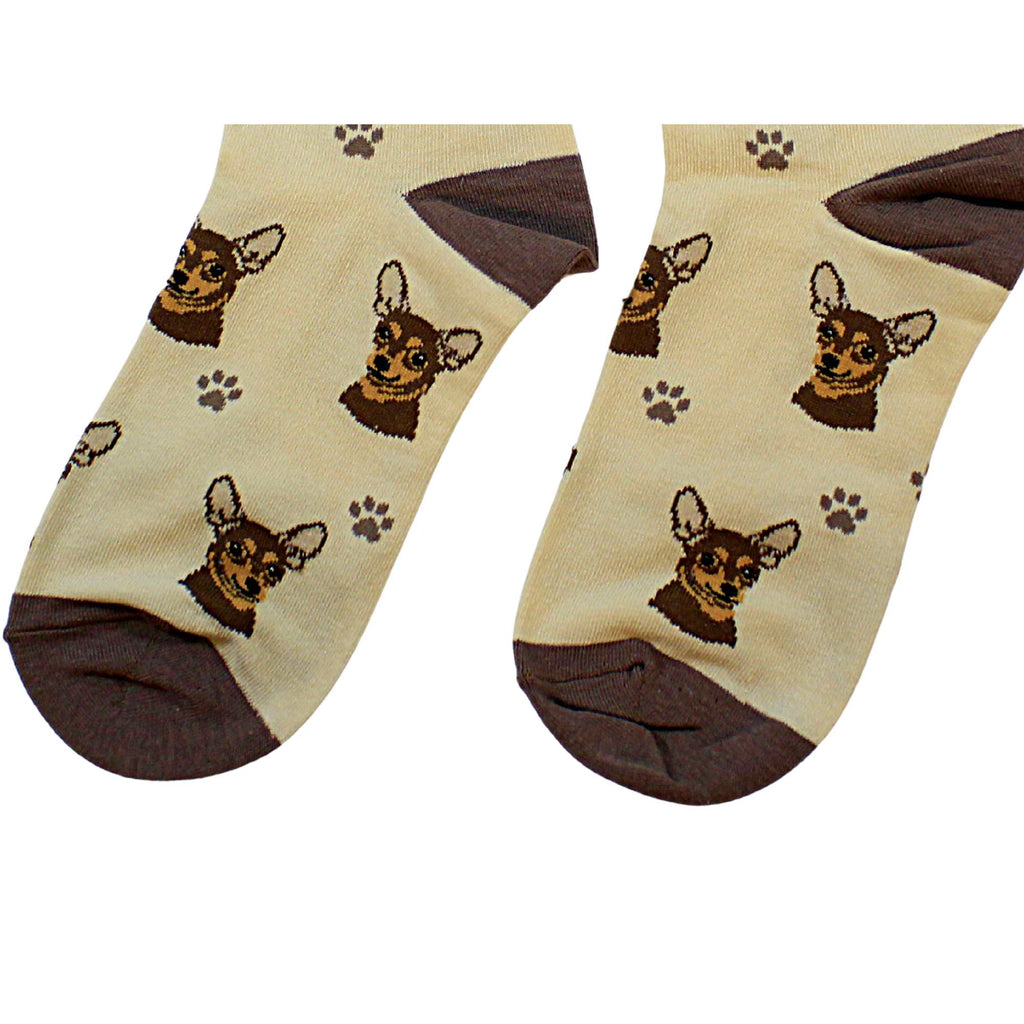 60661 Chihuahua Sock Daddy 80011