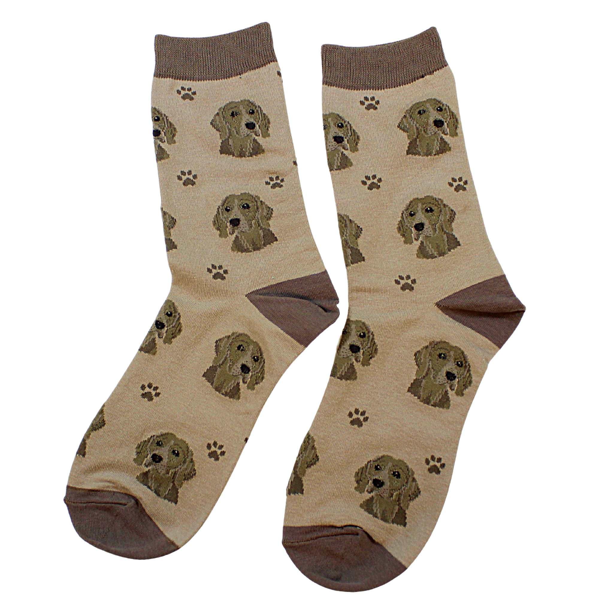 60664 Weimaraner Sock Daddy 80054