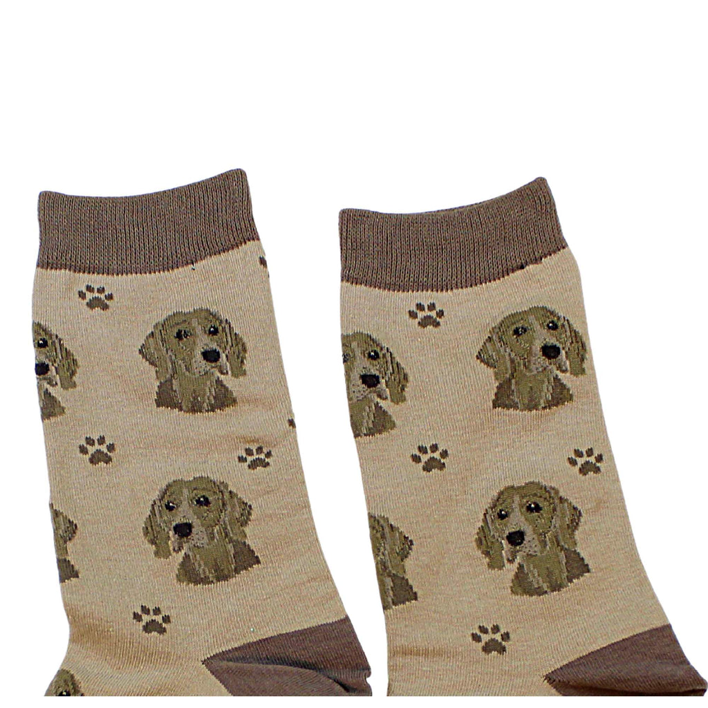 60664 Weimaraner Sock Daddy 80054